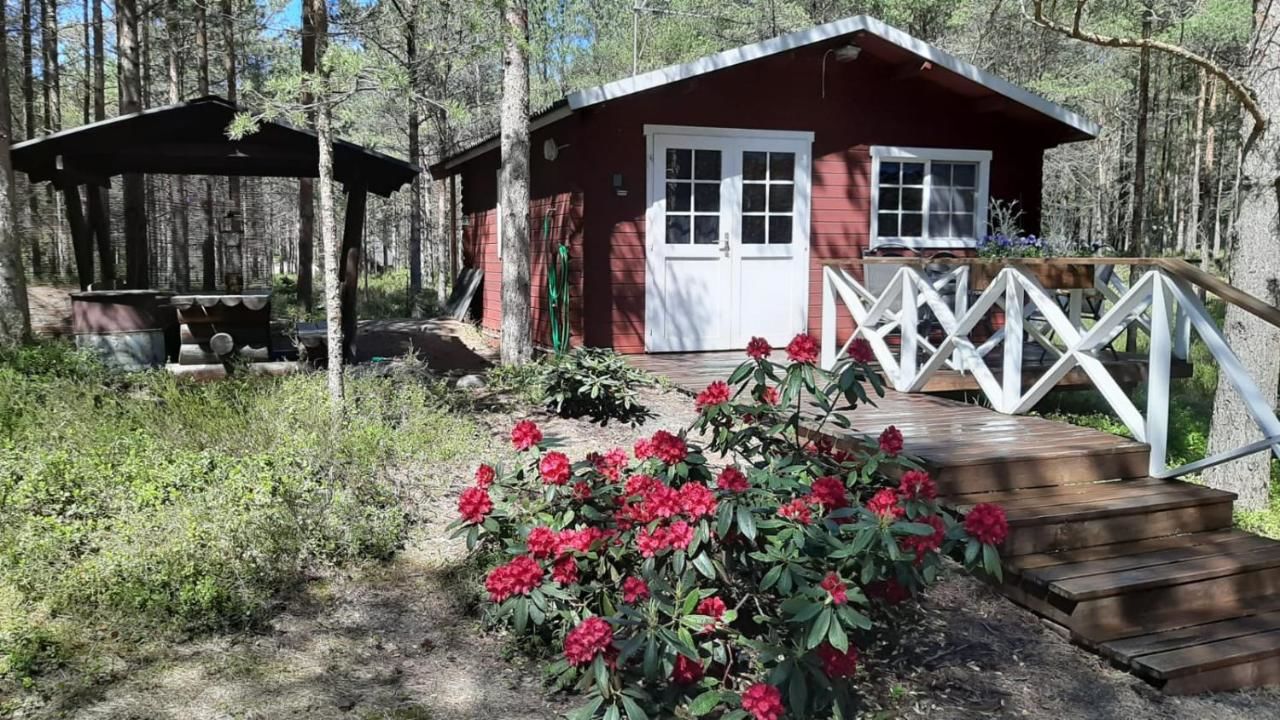 Гостевой дом Nõva Madise Guesthouse Раннакула-4