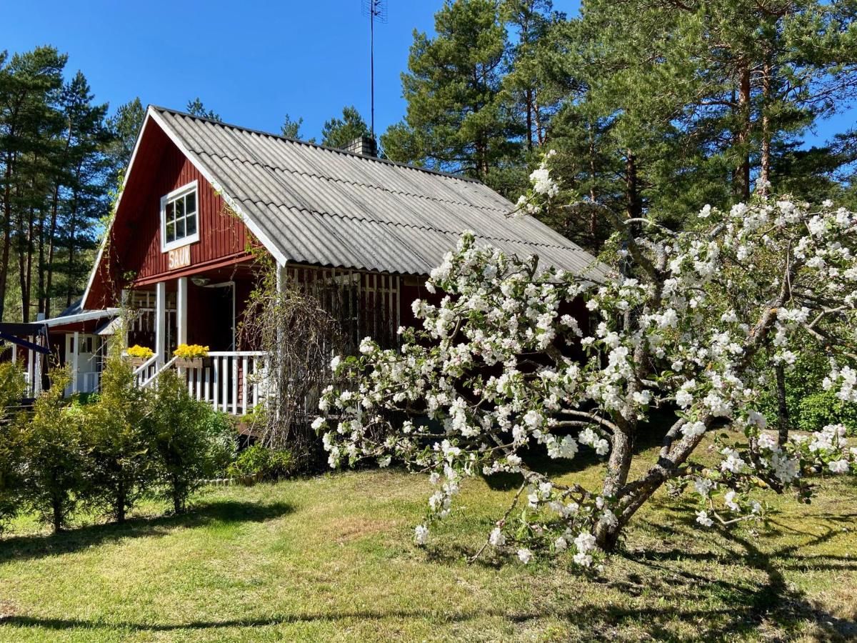 Гостевой дом Nõva Madise Guesthouse Раннакула-15